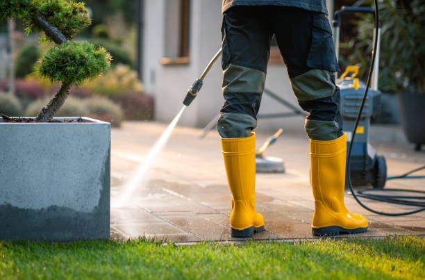 Why Choose Our Certified Pressure Washing Experts for Your Project Needs in Harlingen, TX?